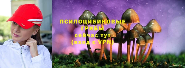 apvp Волоколамск