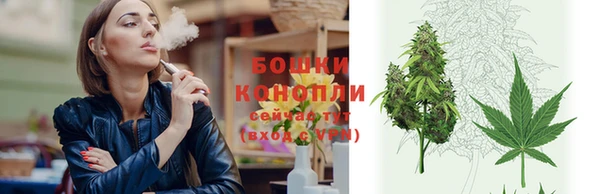 крисы Володарск