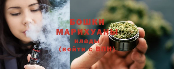 прущие грибы Усинск