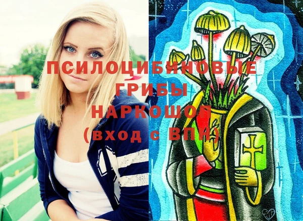 крисы Ростов