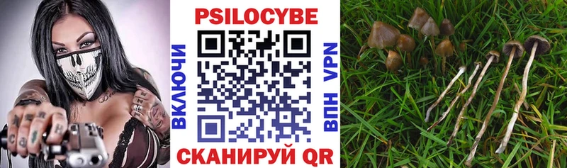Псилоцибиновые грибы GOLDEN TEACHER  Собинка 